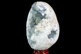 Crystal Filled Celestine (Celestite) Egg Geode #88287-2